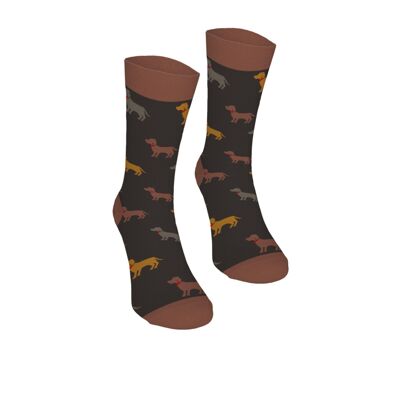 Basset Brown farbige Baumwollsocken Bertoni 42-45