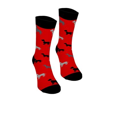 Chaussettes Basset en coton de couleur rouge Bertoni 42-45