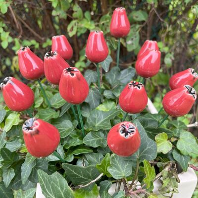 Ceramic Rose hip, Plant stake