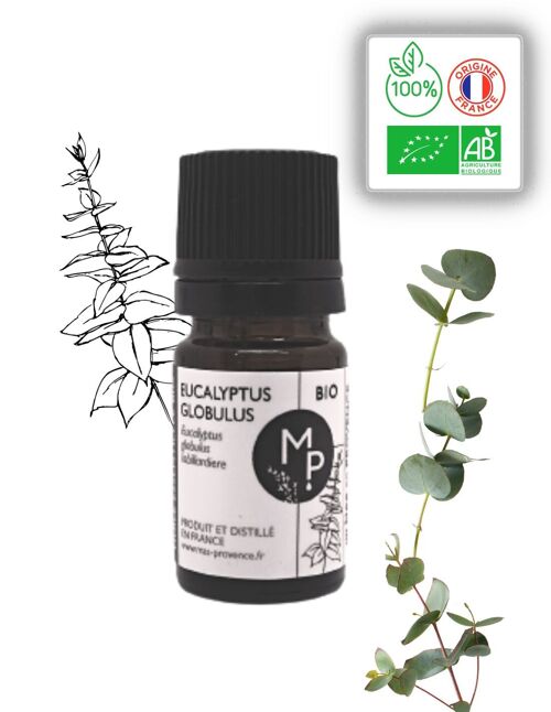 Eucalyptus Globulus Bio 5 ml - Huile essentielle