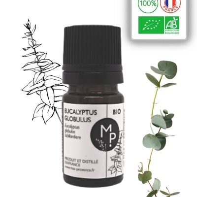 Eucalyptus Globulus Biologico 5 ml - Olio essenziale