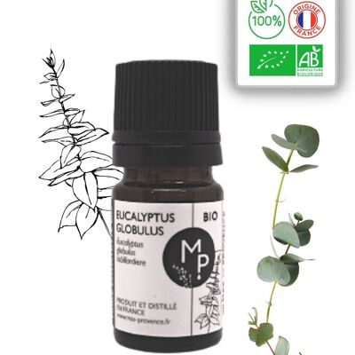 Eucalyptus Globulus Organic 5 ml - Essential oil
