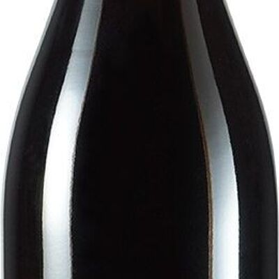 Chinon Red 2022