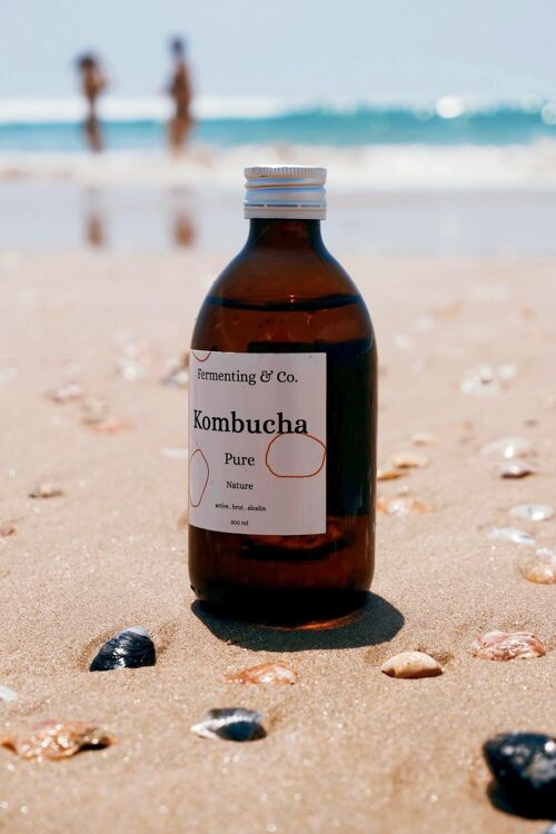 Kombucha - PURE