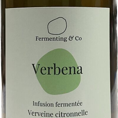 Infusion fermentée - VERBENA - Verveine