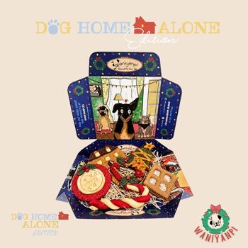 Boîte de collations de Noël pour chiens - Édition limitée Home Alone 2