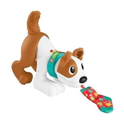 Mattel - HGX99 - Fisher-Price - Mon Puppy Rampe avec Moi, versión francesa, juguete electrónico musical con contenido educativo para jugar a 4 patas, para bebés y niños a partir de 6 meses