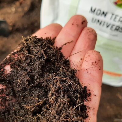 My universal potting soil - 2.5L