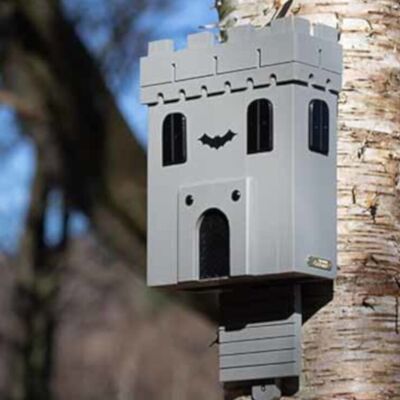 Original bat nest box