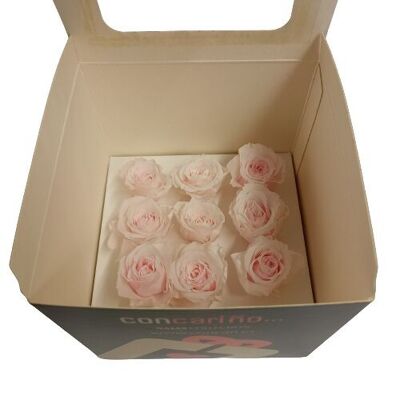 PRESERVED SMALL ROSE HEAD BOX OF 9 UNITS SOLID COLORS