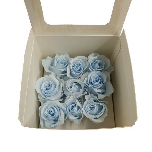 SCATOLA TESTA ROSA PICCOLA CONSERVATA 9 UNITÀ COLORI TINTA UNITA