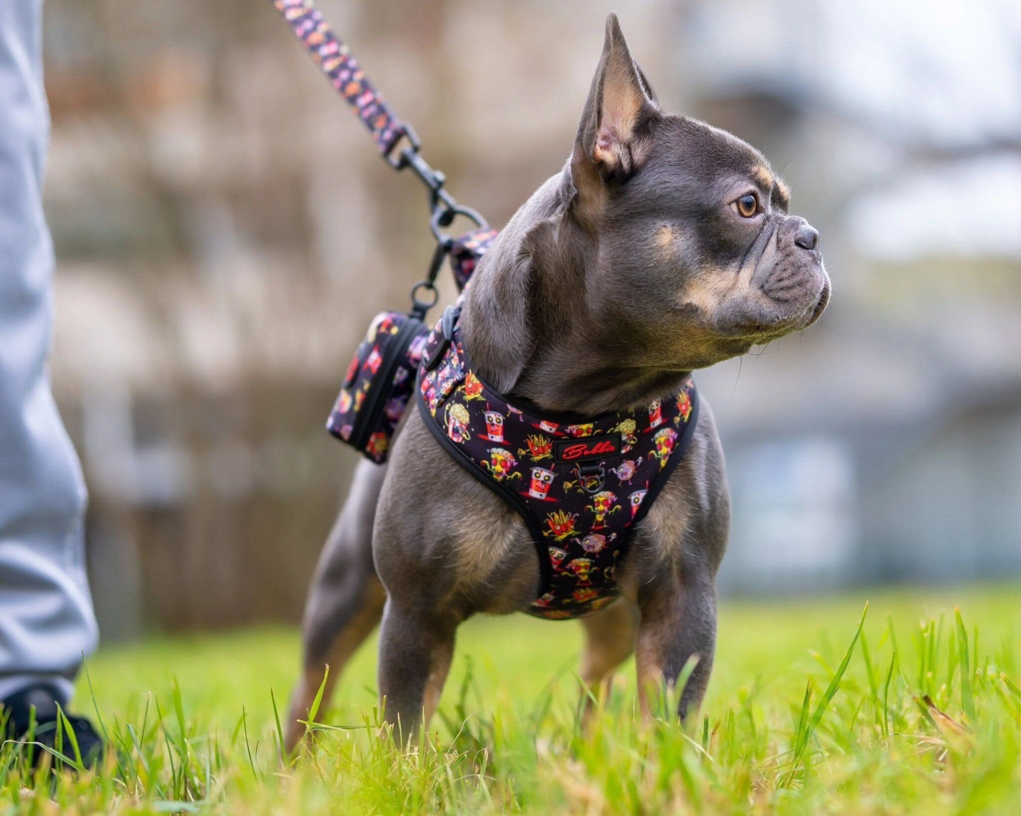 Bobbis Verstellbares Softgeschirre: FAST FOOD ZOMBIES