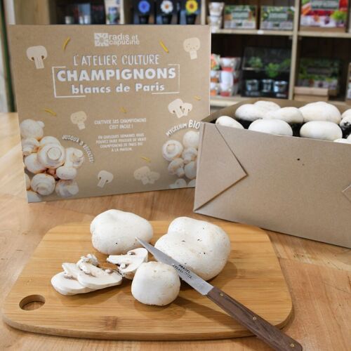 Champignons de Paris blanc Bio* - Grand Modèle - RC