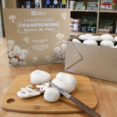 Organic* white button mushrooms - Large Model - RC