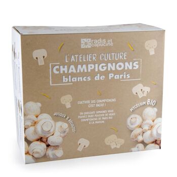 Champignons de Paris blanc Bio* - Grand Modèle - RC 2