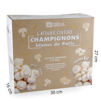 Champignons de Paris blanc Bio* - Grand Modèle - RC 4