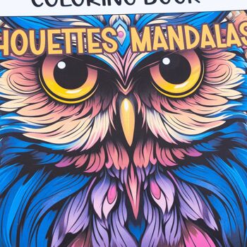 Livre de Coloriages pour adultes, Chouettes Mandalas 2