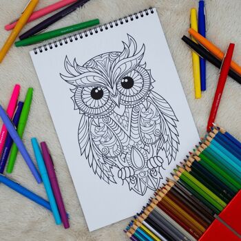 Livre de Coloriages pour adultes, Chouettes Mandalas 3