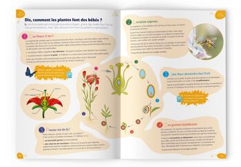 Magazine enfant TaKo Kids & les jardins extraordinaires - lecture et activités en français 5