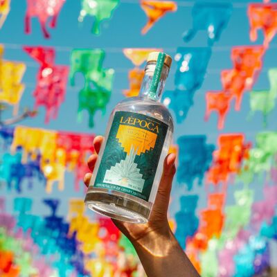 Mezcal del Año 2023 y Premiado IWSC | De México a los Alpes | Hecho a mano | Espadín & Joven & Artesanal | 500ml y 38%vol.