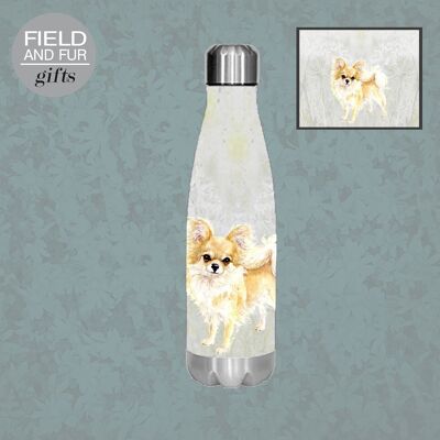 Trixie, Chihuahua, isolierte Trinkflasche