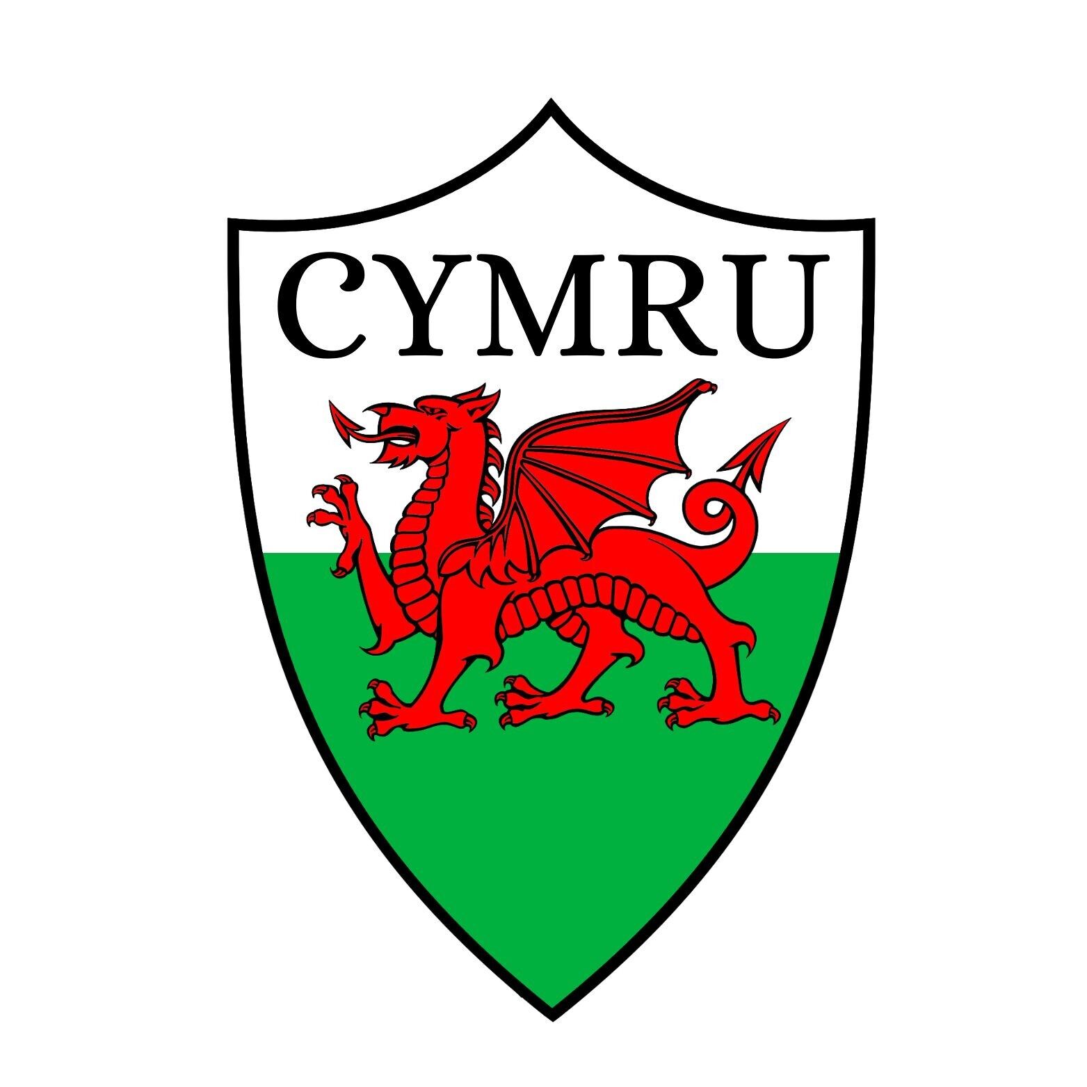 Bouclier Cymru Sticker
