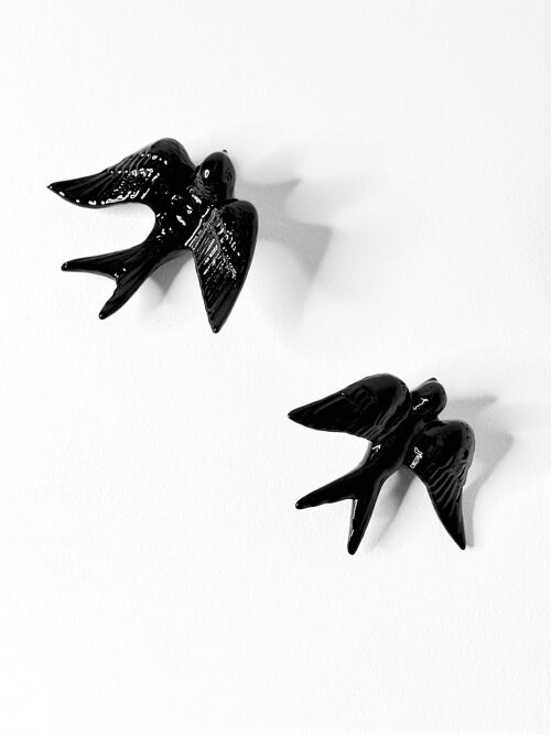 SWALLOWS_black glossy