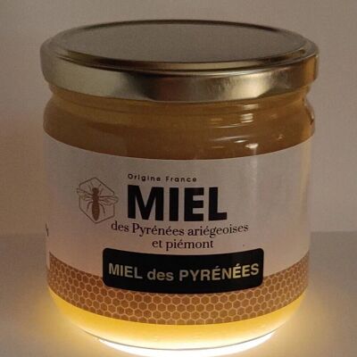 Honey from the Pyrenees 500g