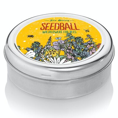 Boîte festive de Noël Bee Merry Seedball