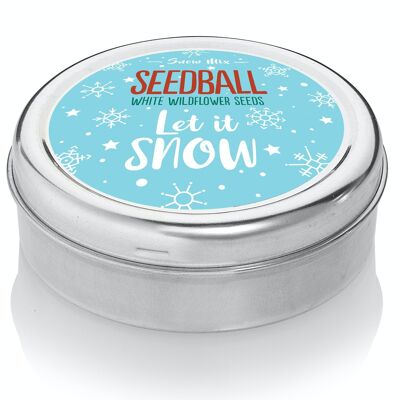 Lass es schneien! Seedball-Weihnachtsfestdose
