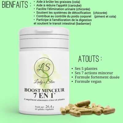 Gelule boost minceur 7 in 1 - 60 gélule pour 1 mois