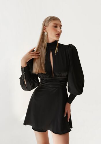 Robe Parisienne 1