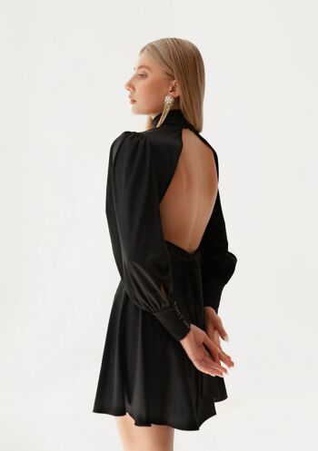 Robe Parisienne 2