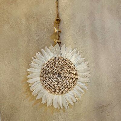 Wall decoration feather and shell