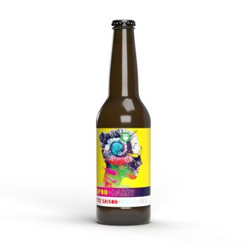 BDQ Beer Co. | Pimpon | Petite Saison | 4% | 33cl bière 2