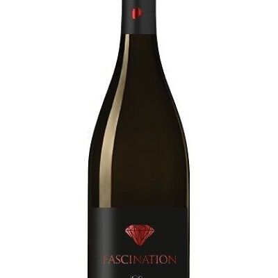 VEGAN red wine - Fascination 2021
