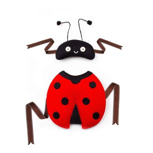 Louise Ladybird Dress Up