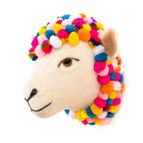 Jazzy Sheep Head