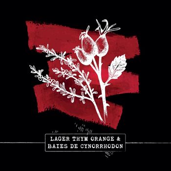 LAGER THYM ORANGE & BAIES DE CYNORRHODON 2,7% 1