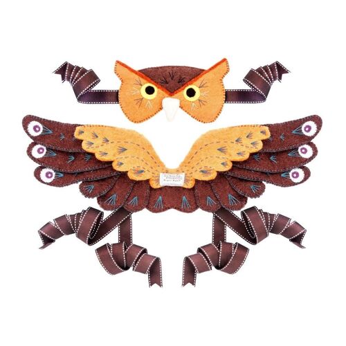 Owl Head Dress and Wings