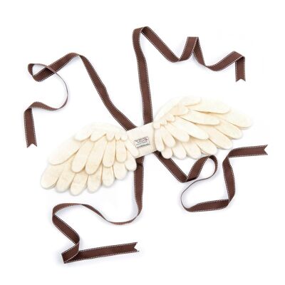 Angel Dressing up Wings