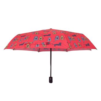 Biggdesign Mini Parapluie Chats 2