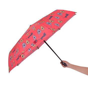 Biggdesign Mini Parapluie Chats 5