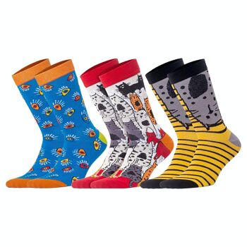 Ensemble de chaussettes Biggdesign pour femme 3