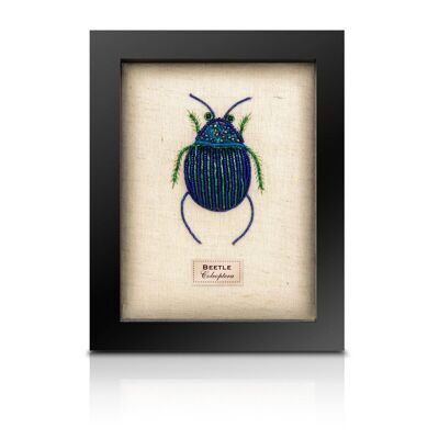 Beaded Fat Blue Beetle