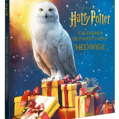 Calendrier de l'Avent Hedwige Harry Potter