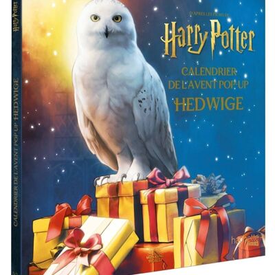 Calendario dell'avvento di Edvige Harry Potter