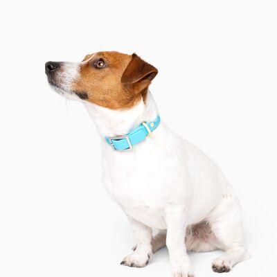 Collar para perro diario impermeable con bloques de color azul cian