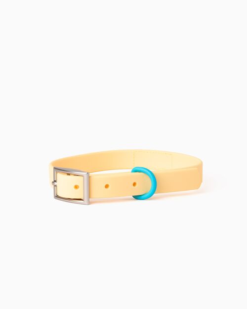 Butter Yellow Color Block Waterproof Daily Dog Collar