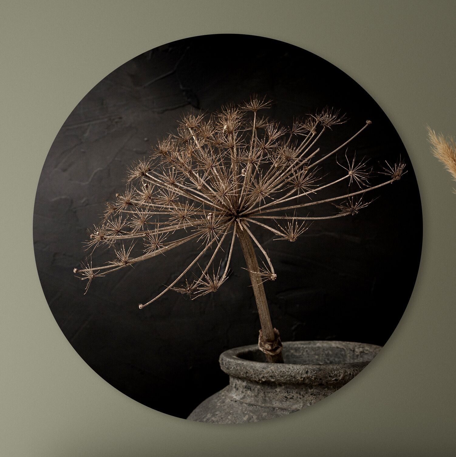 Cerchio da parete - Panace - Qualità Premium Dibond